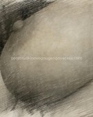 Анкета проститутки Зоя - метро Беговой, возраст - 35